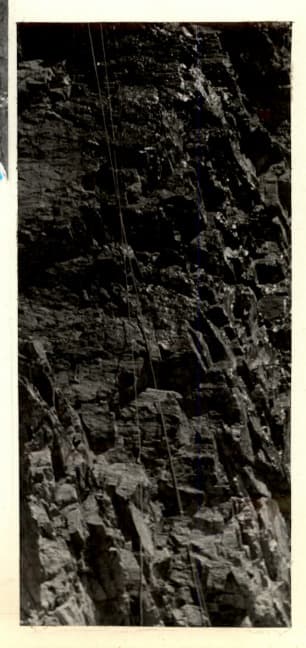 15_image_1.jpg