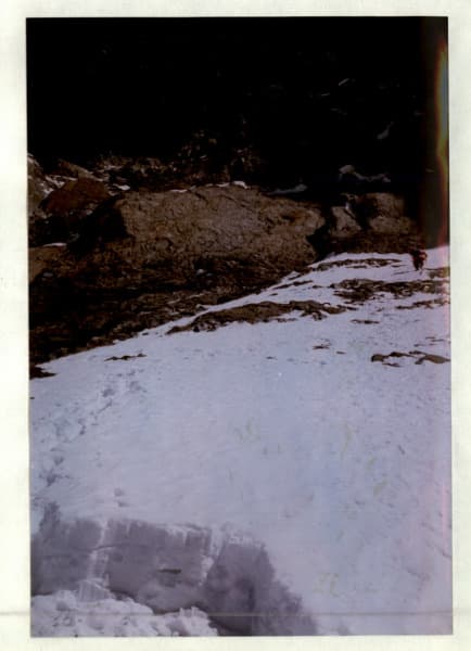 14_image_1.jpg