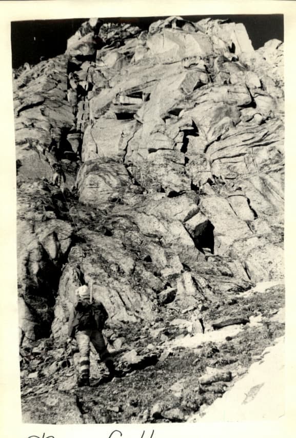 7_image_0.jpg