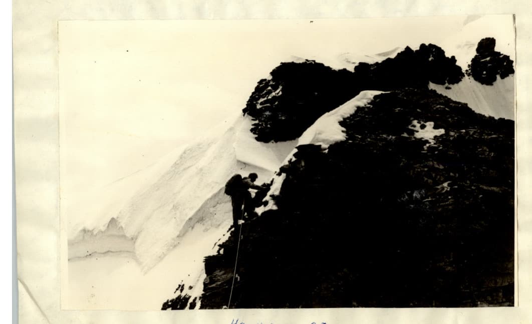 4_image_1.jpg