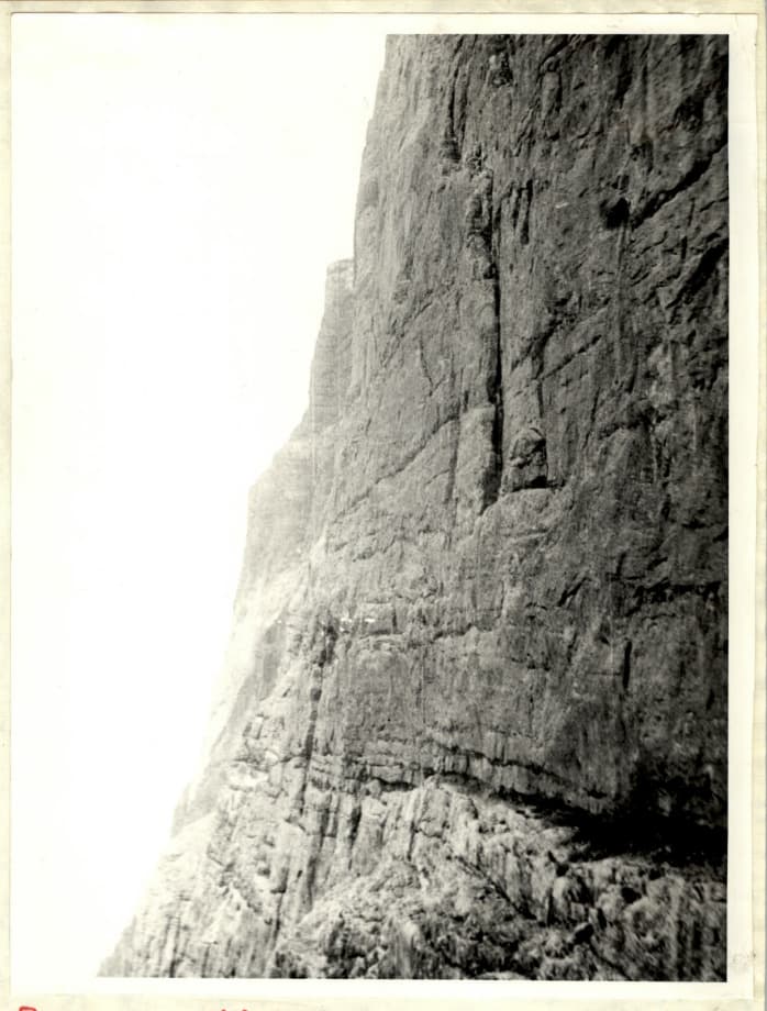 2_image_1.jpg
