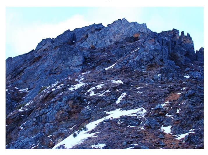 11_image_0.jpg