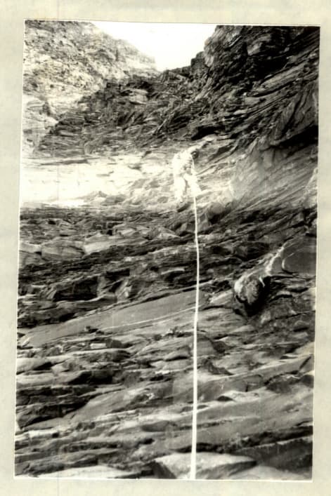 7_image_1.jpg