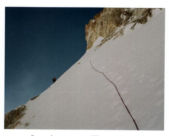 14_image_0.jpg