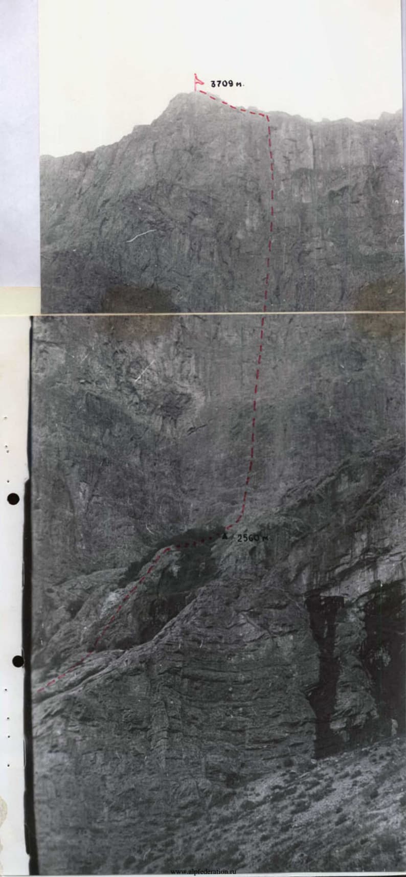 1_image_1.jpg