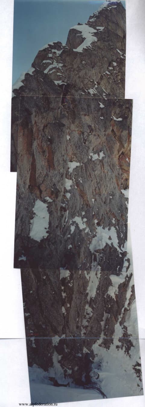 4_image_1.jpg