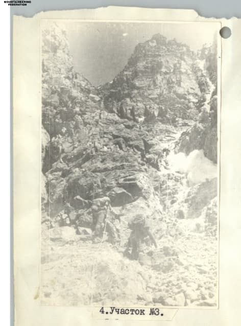 7_image_0.jpg