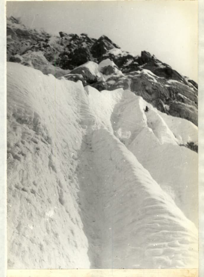 16_image_0.jpg