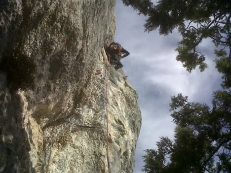 image5.jpeg