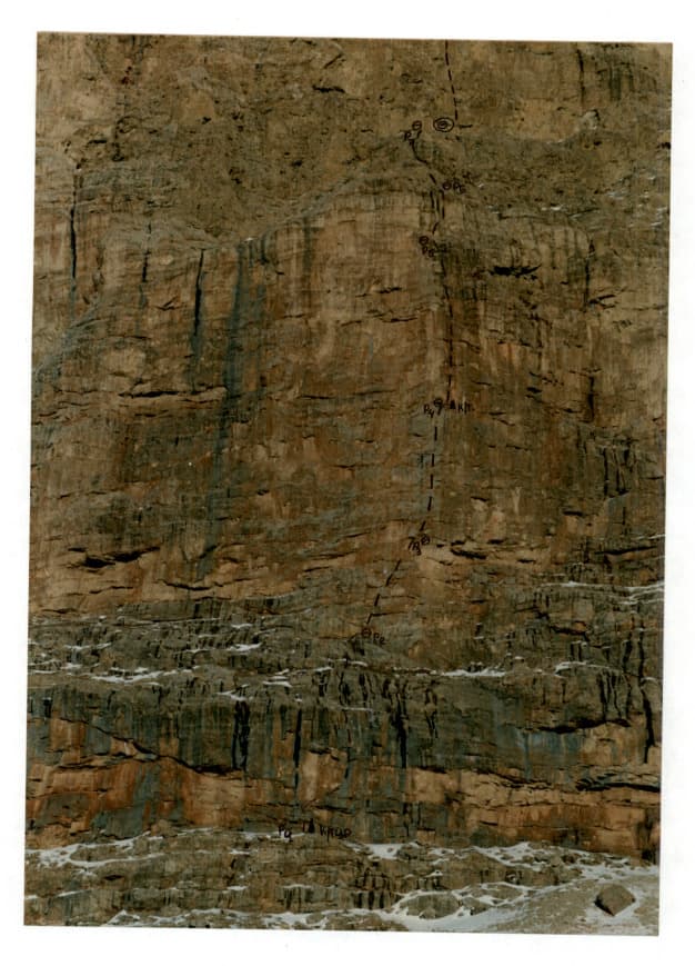 3_image_1.jpg