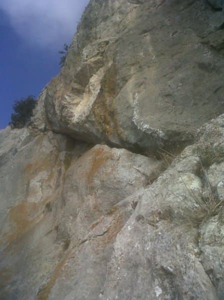 image5.jpeg
