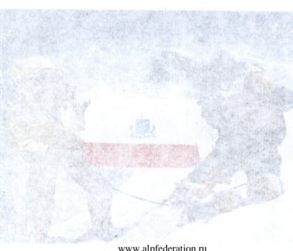 7_image_2.jpg
