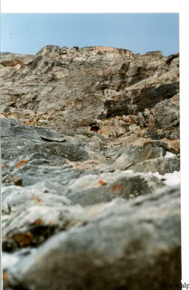 4_image_2.jpg