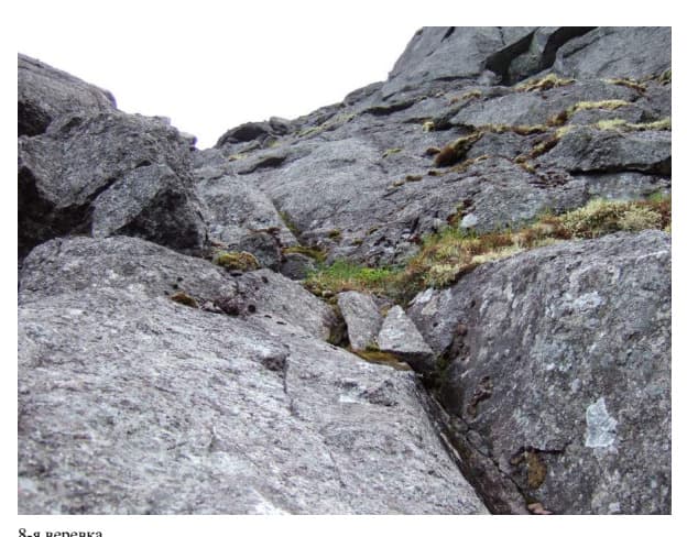 13_image_0.jpg