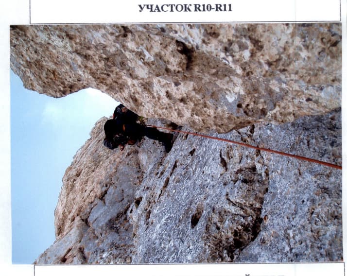 9_image_1.jpg