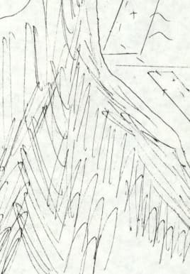 5_image_1.jpg