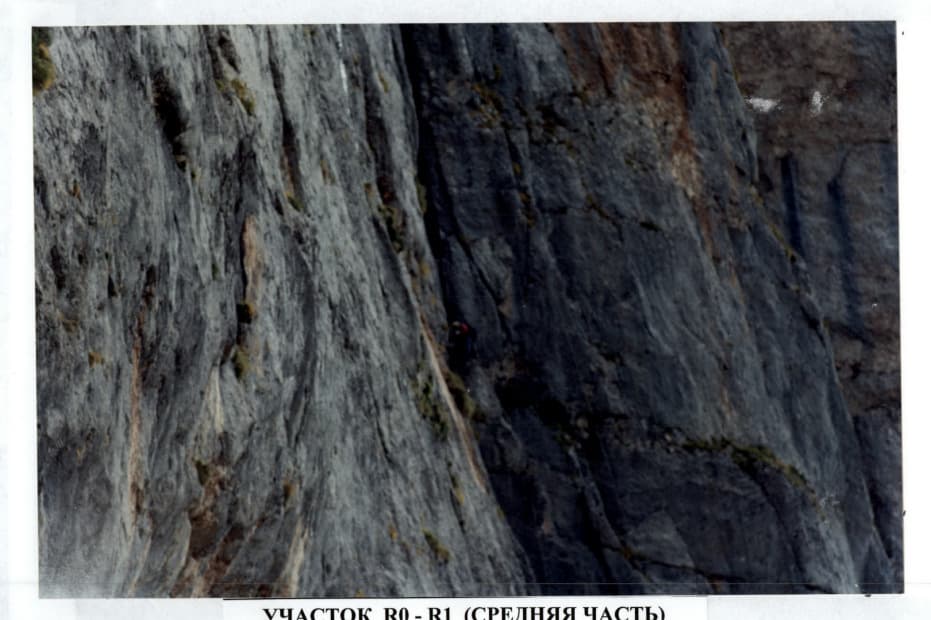 8_image_1.jpg