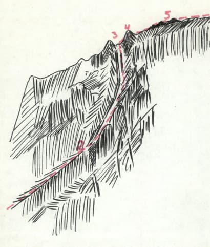 6_image_2.jpg