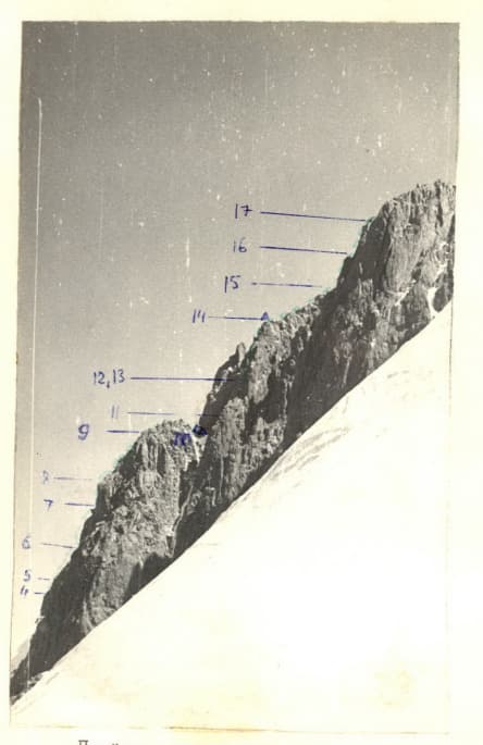 2_image_1.jpg