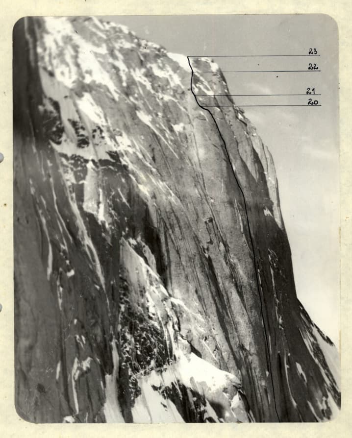 7_image_0.jpg