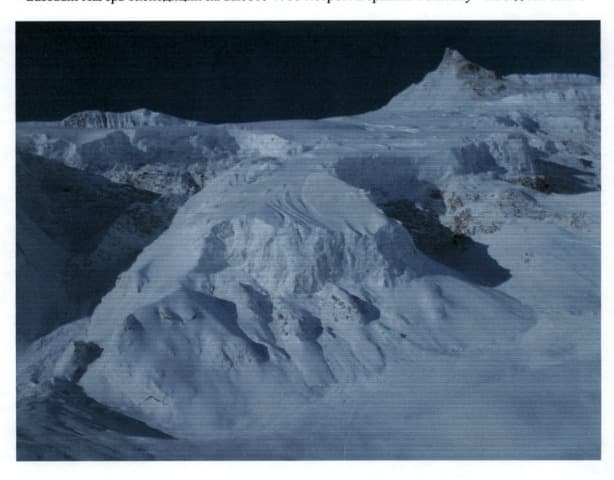 7_image_2.jpg