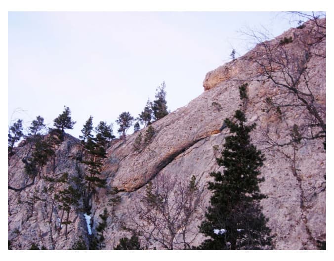 15_image_0.jpg