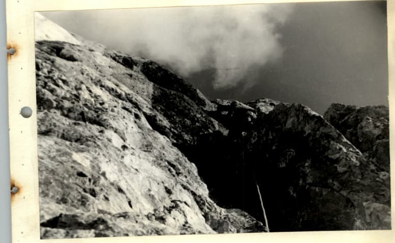 1_image_1.jpg
