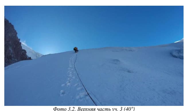 7_image_0.jpg
