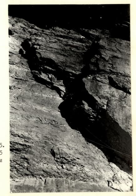 12_image_1.jpg