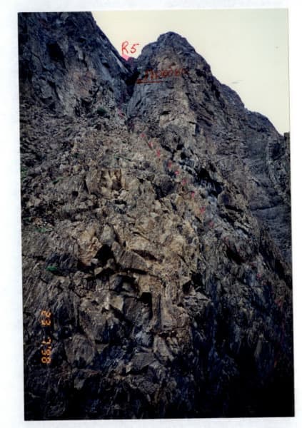 7_image_2.jpg