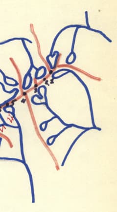3_image_0.jpg