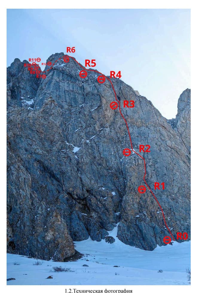 5_image_0.jpg