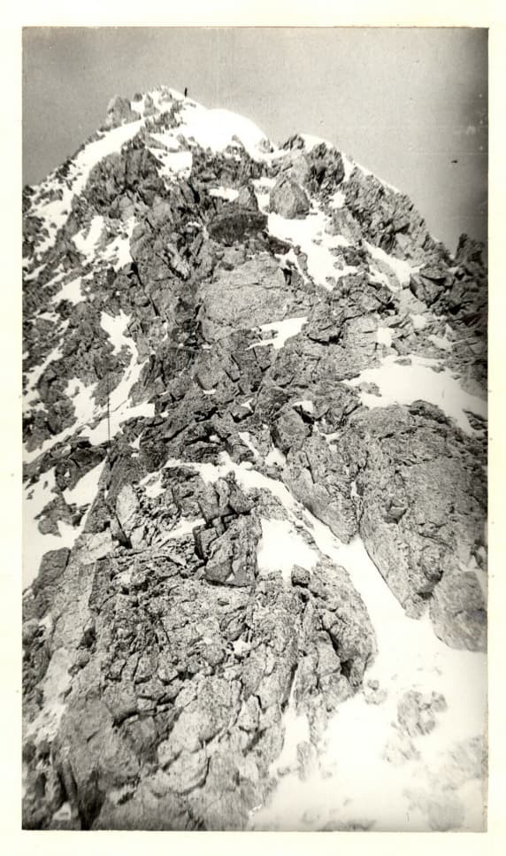 1_image_1.jpg