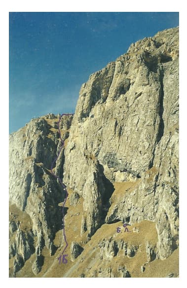 5_image_0.jpg