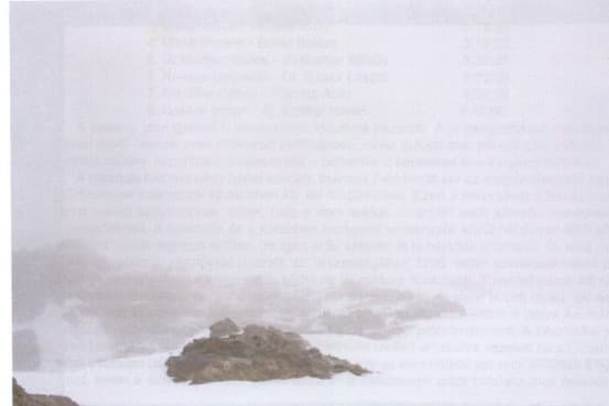 6_image_1.jpg