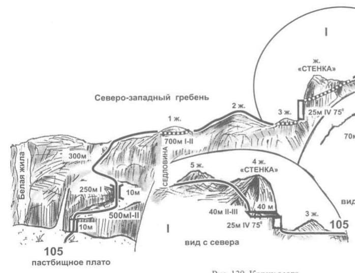 1_image_0.jpg