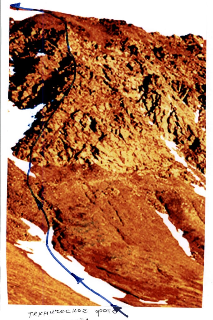 3_image_0.jpg