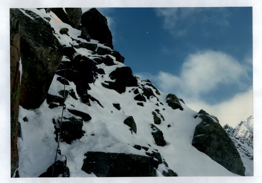 29_image_1.jpg