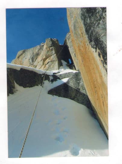 8_image_0.jpg