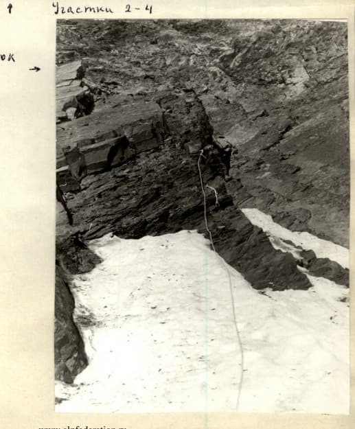 3_image_2.jpg