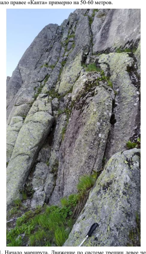 11_image_0.jpg