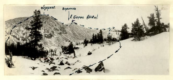 1_image_1.jpg