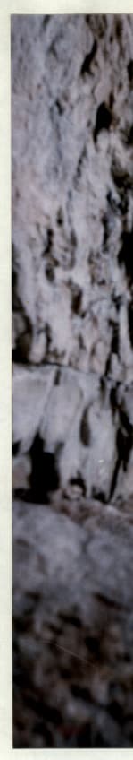6_image_1.jpg