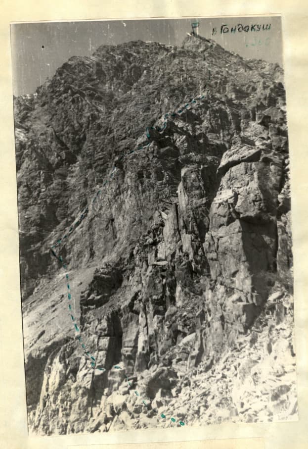 1_image_1.jpg