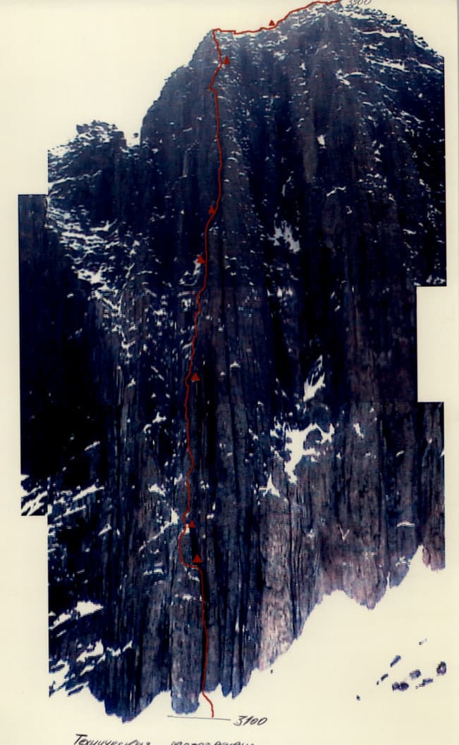 10_image_0.jpg