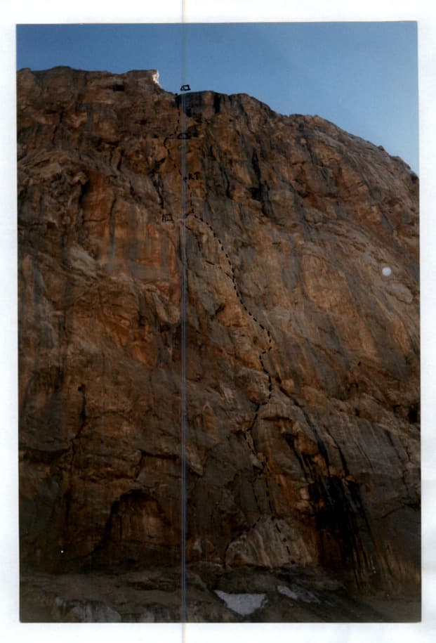 5_image_1.jpg