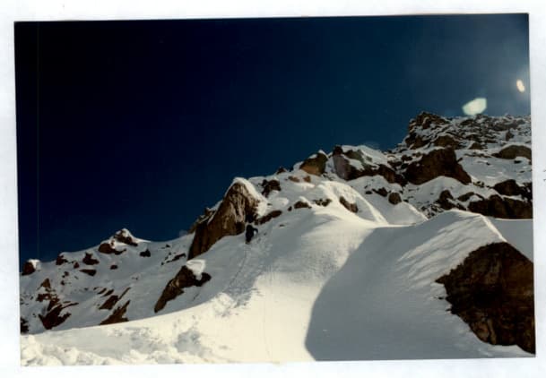 15_image_2.jpg