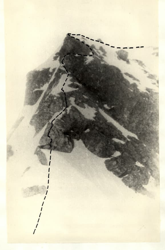 7_image_0.jpg