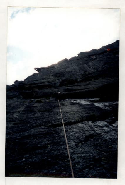 5_image_1.jpg