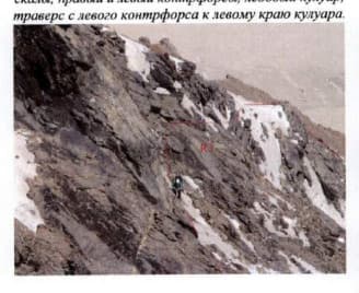 24_image_3.jpg